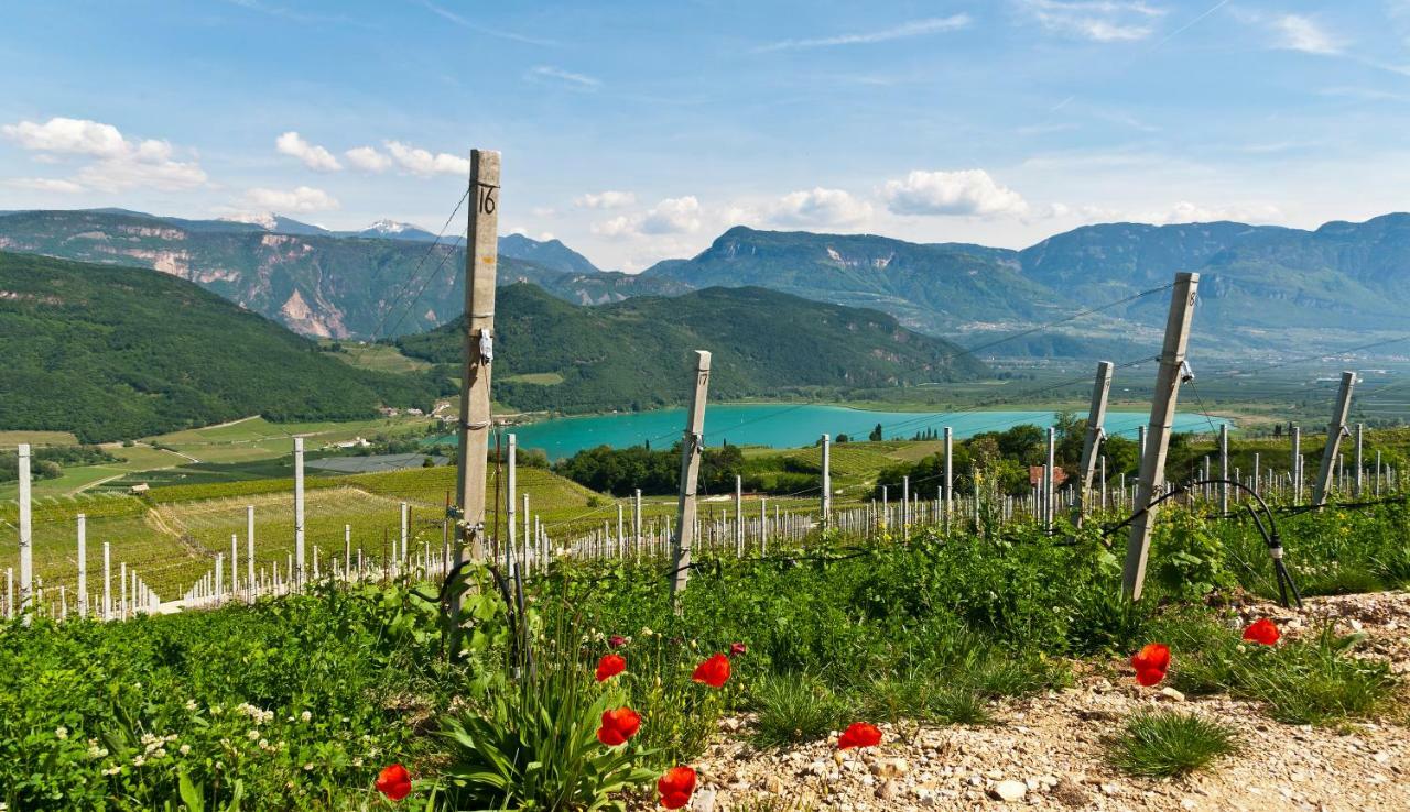 Hotel Weingut Klosterhof Caldaro Εξωτερικό φωτογραφία
